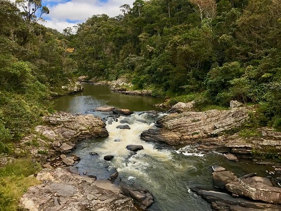 Ranomafana National Park