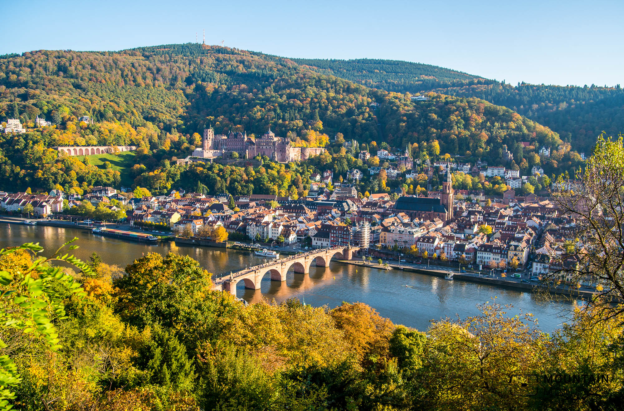 Orange Heidelberg