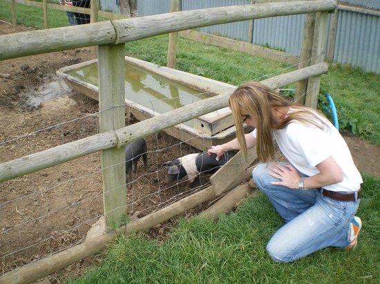 Jimmy's Farm & Wildlife Park