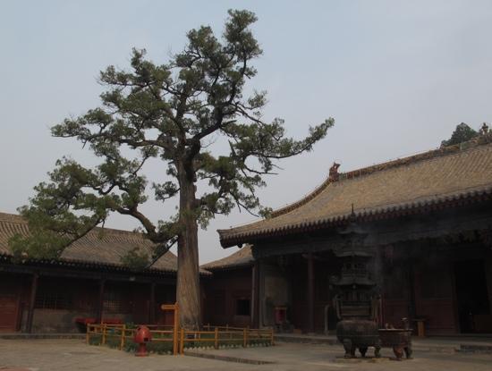 Shuishen Temple