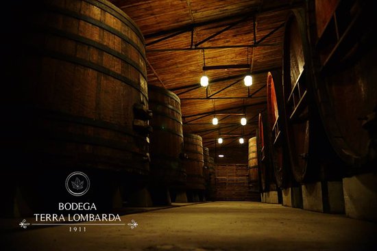 La Vieja Bodega