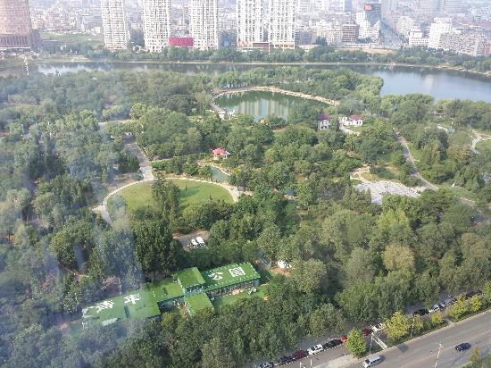 Shenyang Youth Park