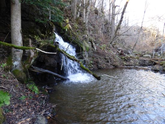 Cascades de Courbière