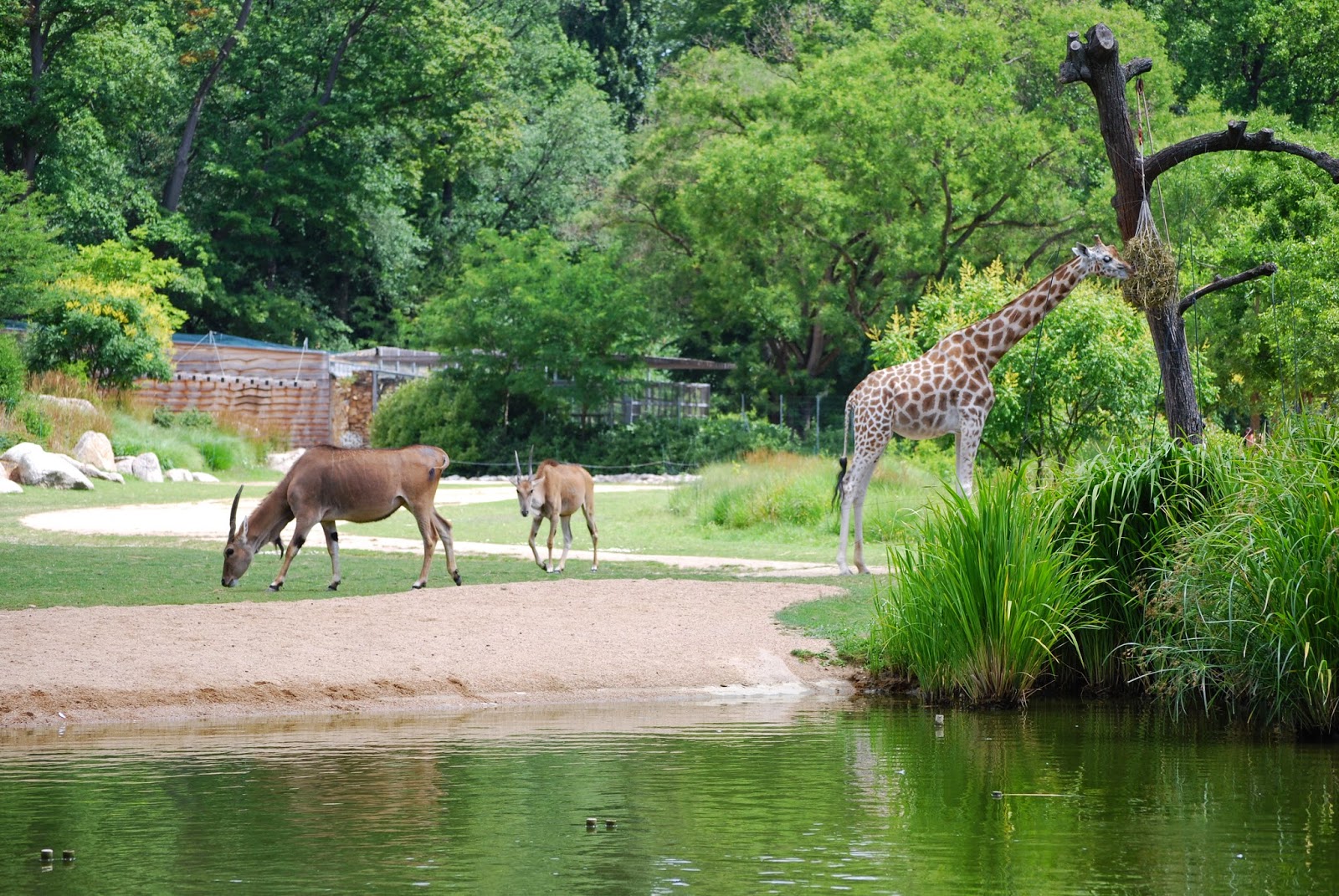 La Ferme Pedagogique du Parc du Lion