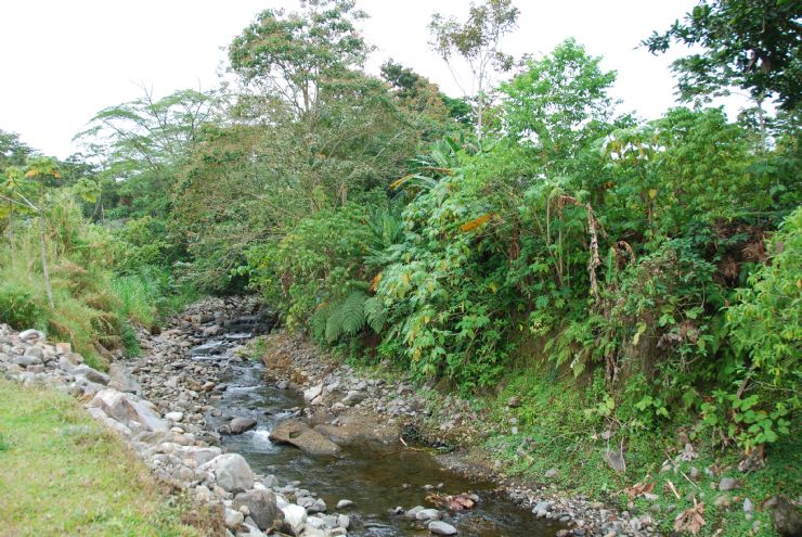 Boca de arenal