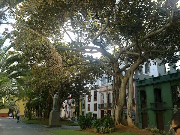 Santa Cruz y San Francisco