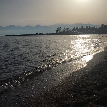 Omi Beach