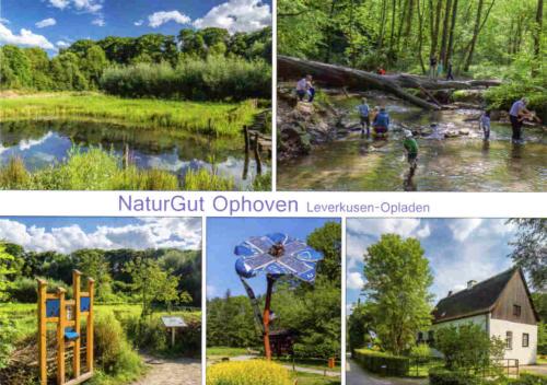 NaturGut Ophoven
