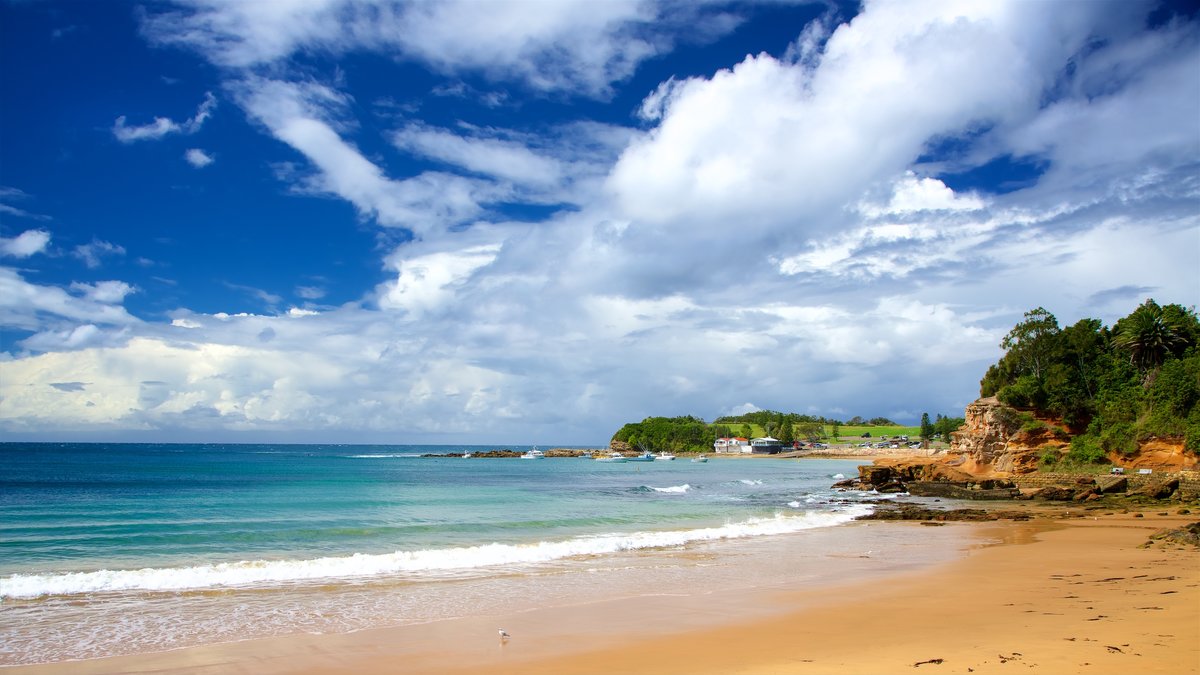 Terrigal Beach