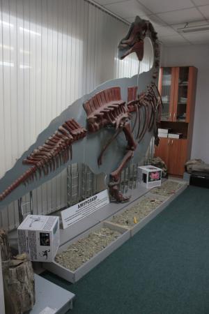 Paleontologic Museum