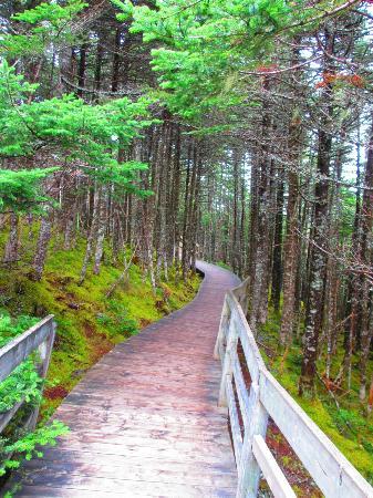 Salmonier Nature Park