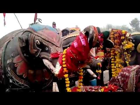 Samay Mata