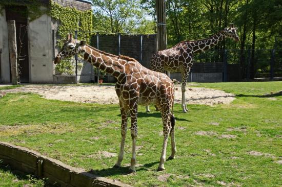 Allwetterzoo Munster