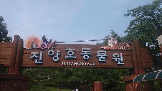 Jinyangho