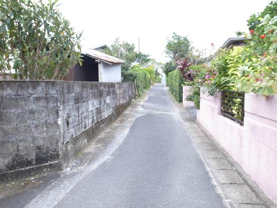 Shodon Community
