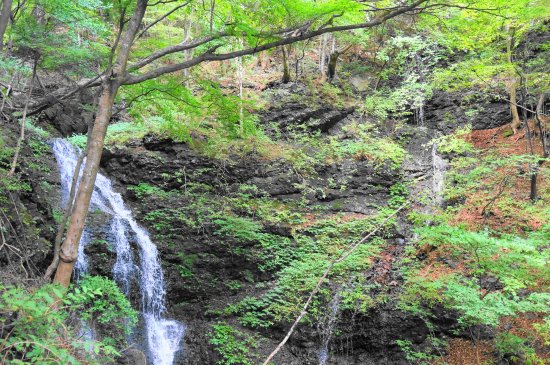 Renju Fall