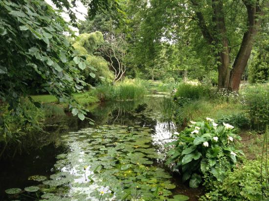 Gooderstone Water Gardens & Nature Trails