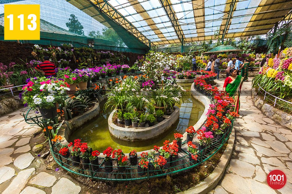 Flower Exhibition Centre