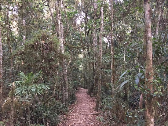 Border Ranges National Park