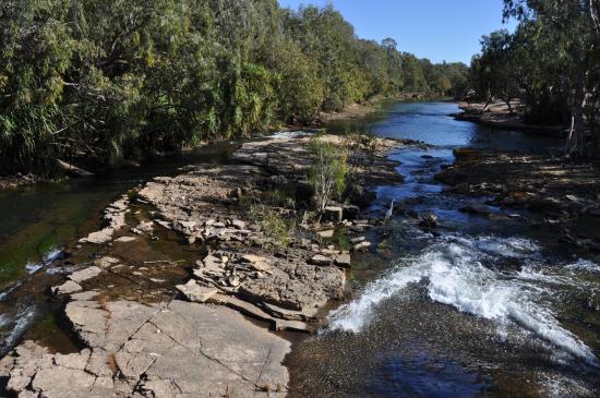 Low Level Nature Reserve