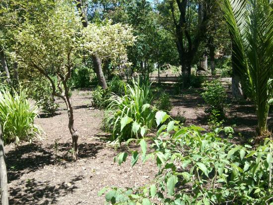 Patrice Lumumba Garden