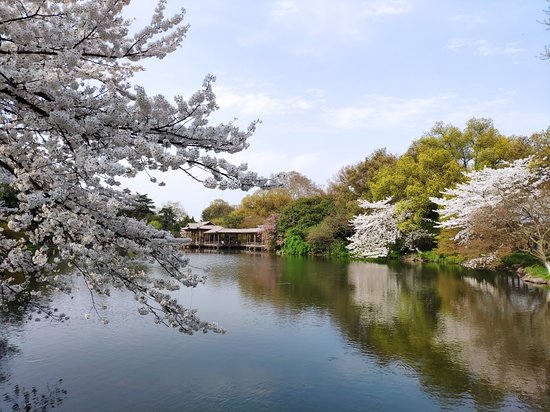 West Lake Colored Port View Fish Garden