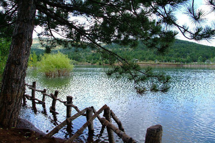 Yozgat Camligi Milli Park