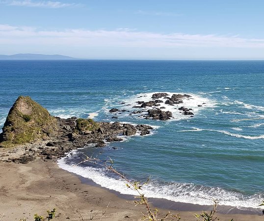 Reserva Punta Curinanco