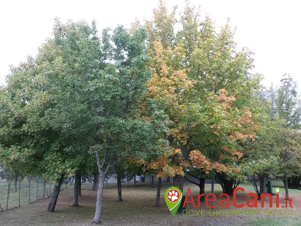 Area Sgambamento Cani Lucia Vaioli