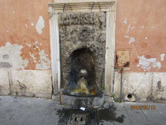 Fontanella Del Leone