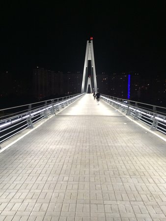 Pedestrian Bridge Pavshinskaya Poima