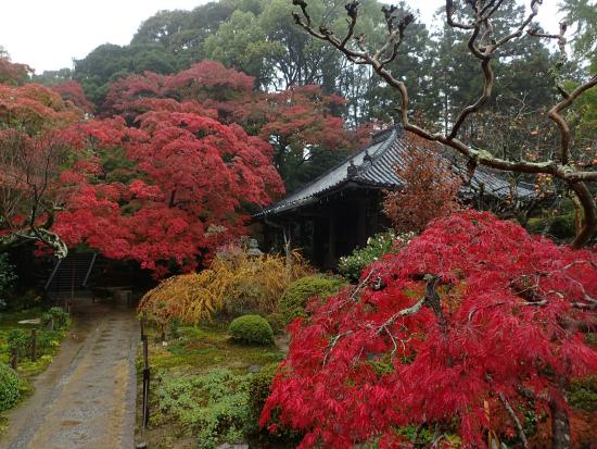 Daimon-ji Temple
