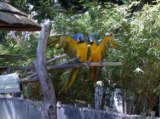 Santa Ana Zoo at Prentice Park