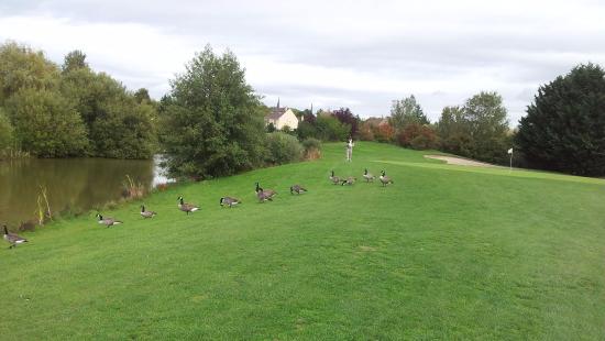 Golf de Villennes