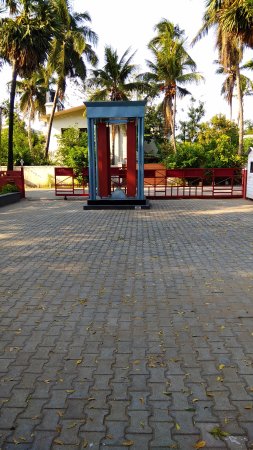 Outdoor Pictures 1