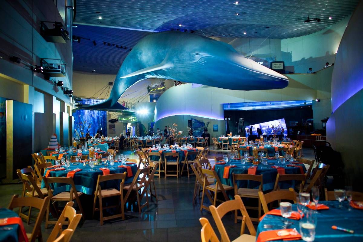 Aquarium of the Pacific