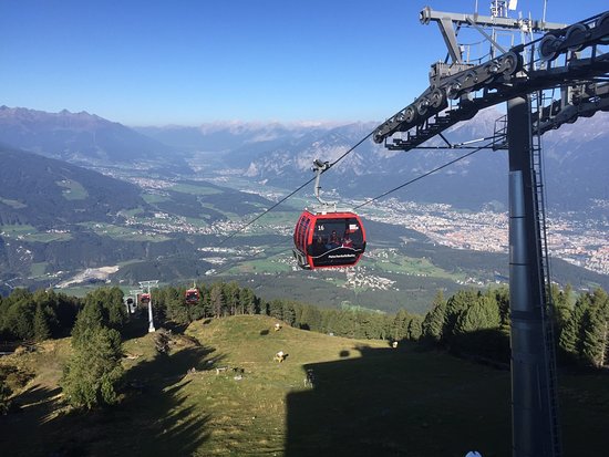 Alpengarten Patscherkofel