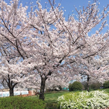 Ashidagawa Furusato Square