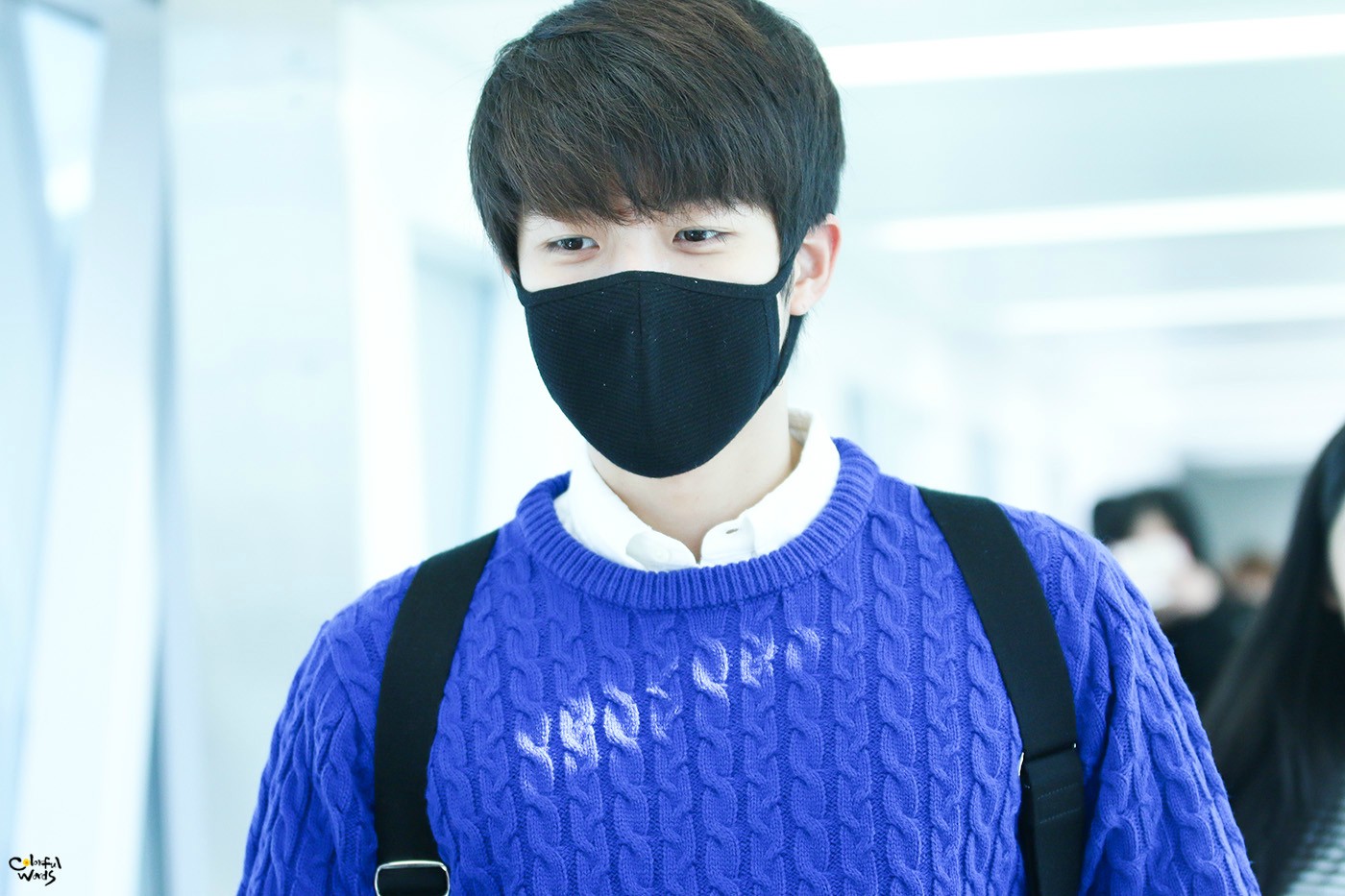 Primus Gimpo
