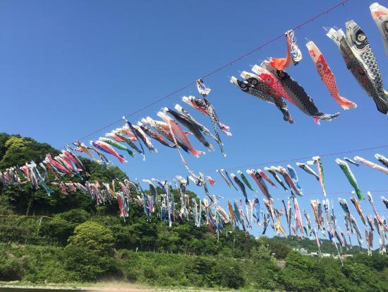 Sagami River Koinobori Festival