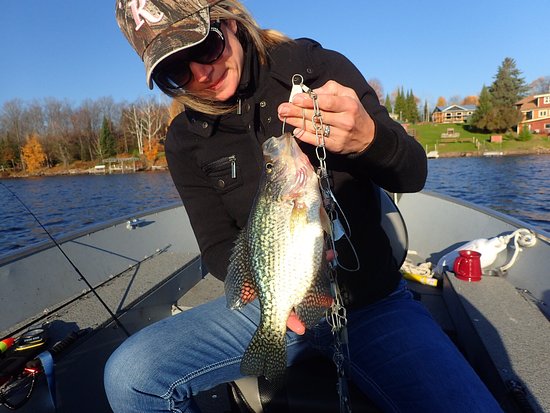 Turtle - Flambeau Flowage