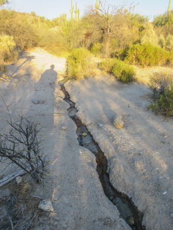 Quitobaquito Spring