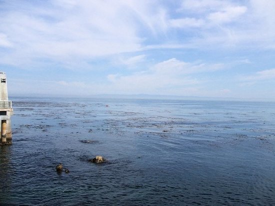 Monterey Bay National Marine Sanctuary