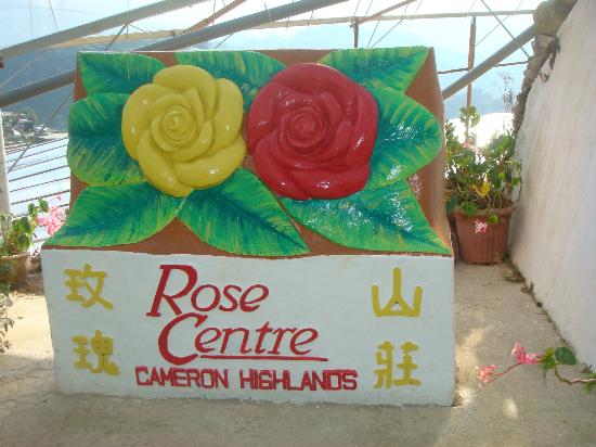 Rose Centre
