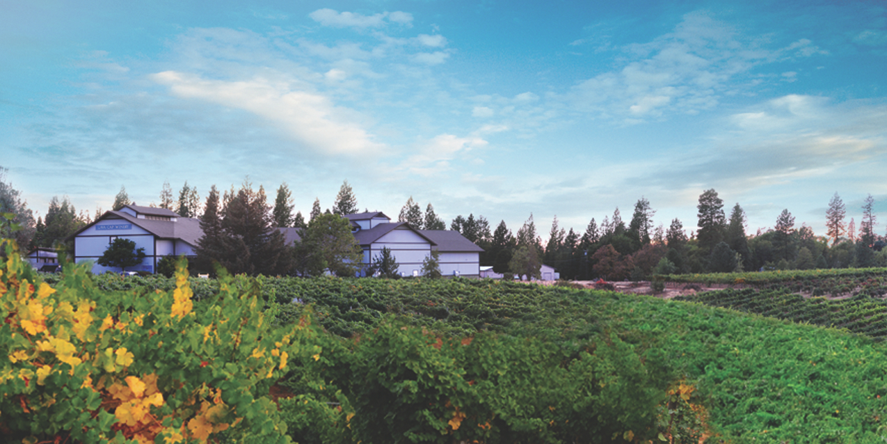 Lava Cap Winery