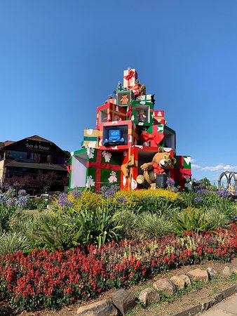 Van Porto Alegre Gramado Brum Tur