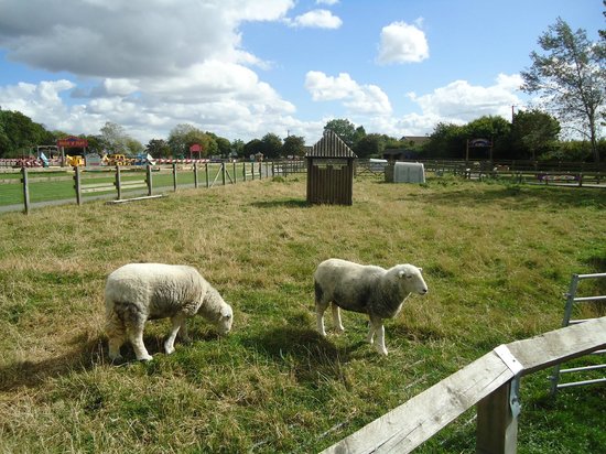 Marsh Farm