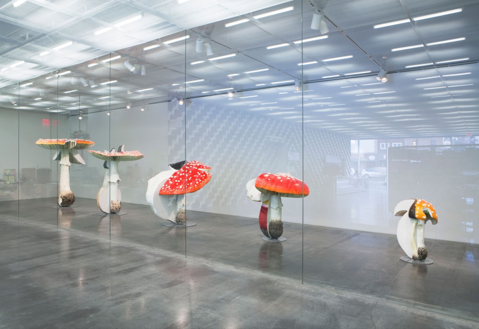 Mushroom Museum