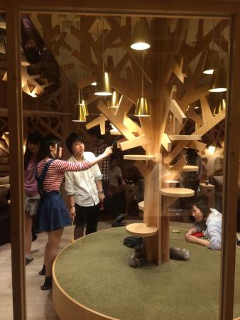 Cat Cafe Mocha, Ikebukuro West