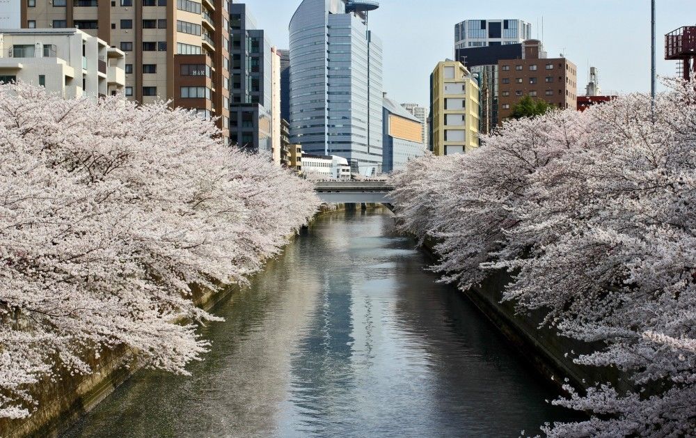 Sato Sakura Museum